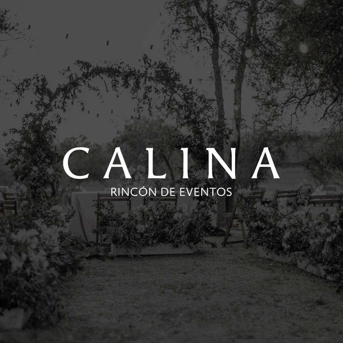 Nocturna — Social Media Design para salón de eventos Calina Córdoba — Ana Clara Toscani Boccardo