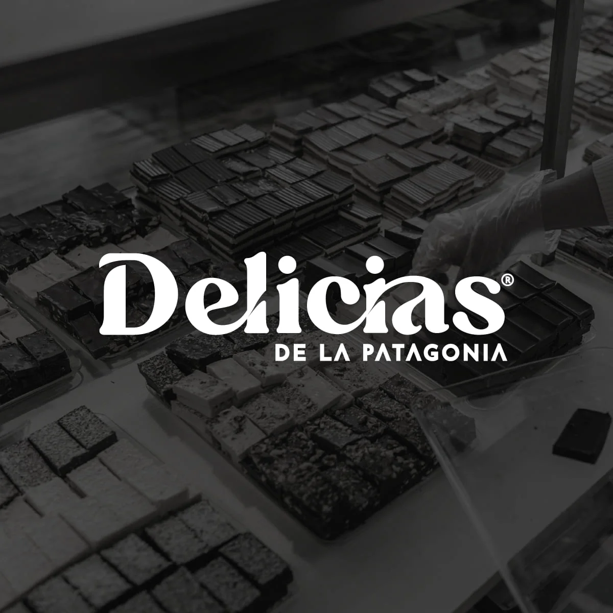 Savia — Social Media Design para chocolatería Delicias de la Patagonia — Ana Clara Toscani Boccardo